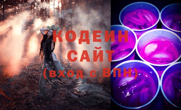 apvp Горнозаводск