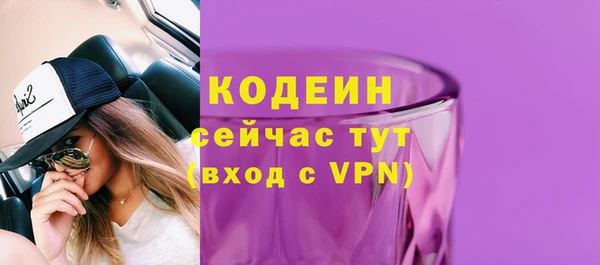 apvp Горнозаводск
