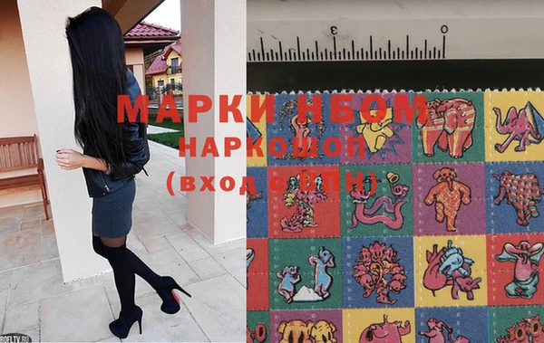 apvp Горнозаводск