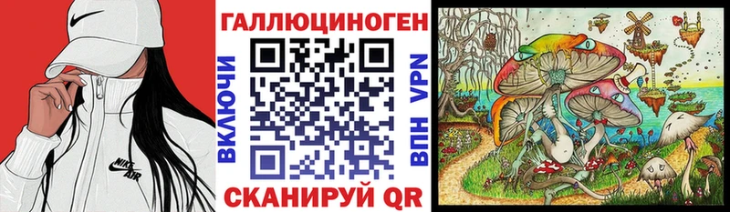 Купить  Котовск  Галлюциногенные грибы Psilocybine cubensis 